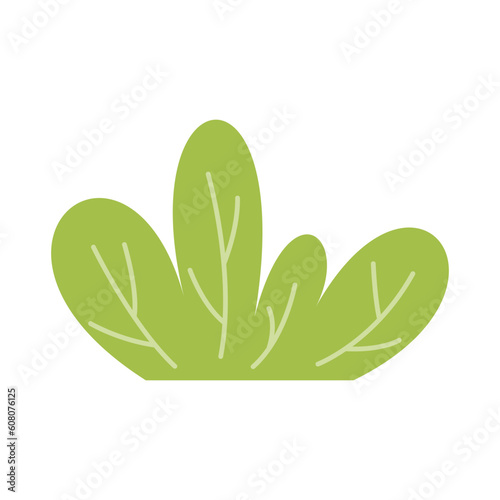 Bushes and Grass Illustration. Simple abstract floral flat cartoon vector illustration. Garden green plant isolated on white background. Eco element