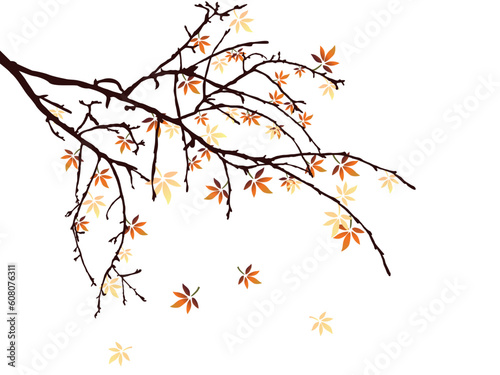 vector eps10 illustration of colorful leaves on a bough