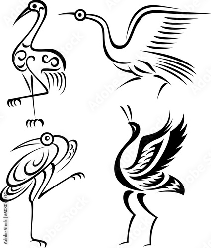 bird illustration