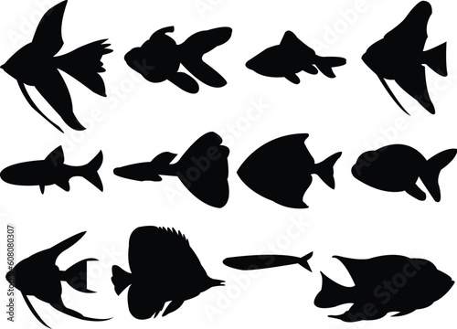 collection of aquarium fish silhouette - vector