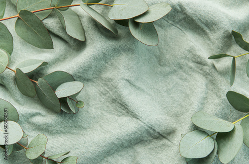 Eucalyptus branch  on textile fabric background. Flat lay, top view.  Space for text. photo