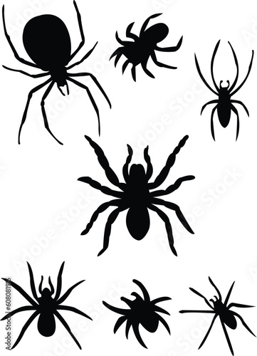 spiders silhouette - vector © Designpics