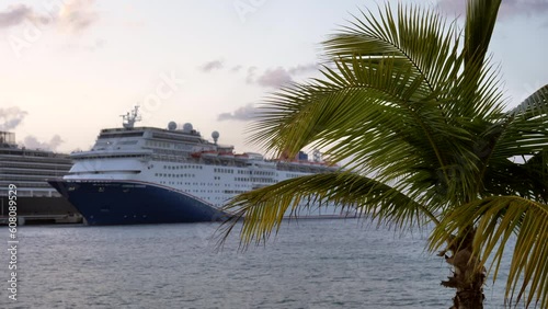 Cruise ship backing our form port - focus on Pam Tree. photo