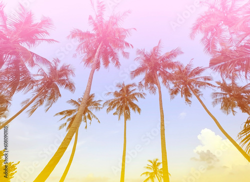 Summer with colorful theme as palm trees background as texture frame background © SASITHORN
