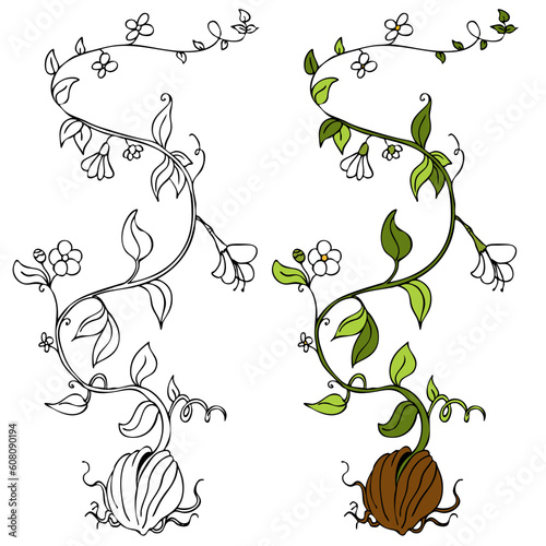 An image of a plant growing out of a seed.