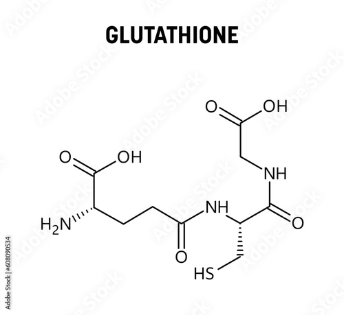 Glutathione molecular structure. Glutathione is an antioxidant in plants, animals, fungi, bacteria and archaea. Vector structural formula of chemical compound.
