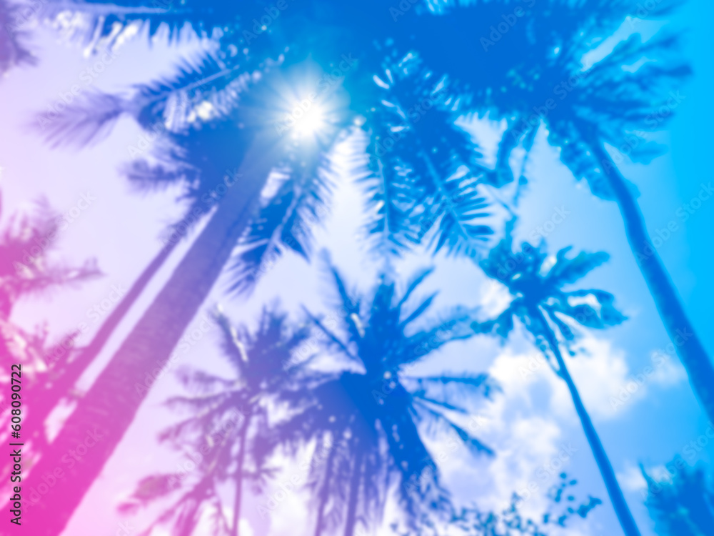 Coconut palm trees on summer colorful sky with sun rays, beautiful tropical blue, purple and pink gradient background, view from bottom.