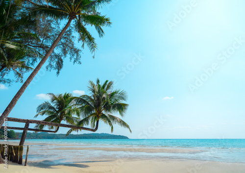 Bright seascape background on sunny day. Summer background with double tropical palm tree on sandy beach and blue sky background at koh kood, Thailand, with copy space. Summertimes concepts.