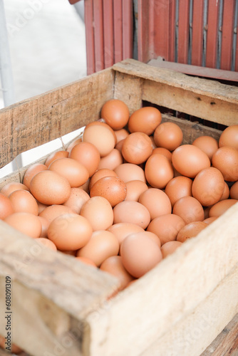 There are many eggs inside a box