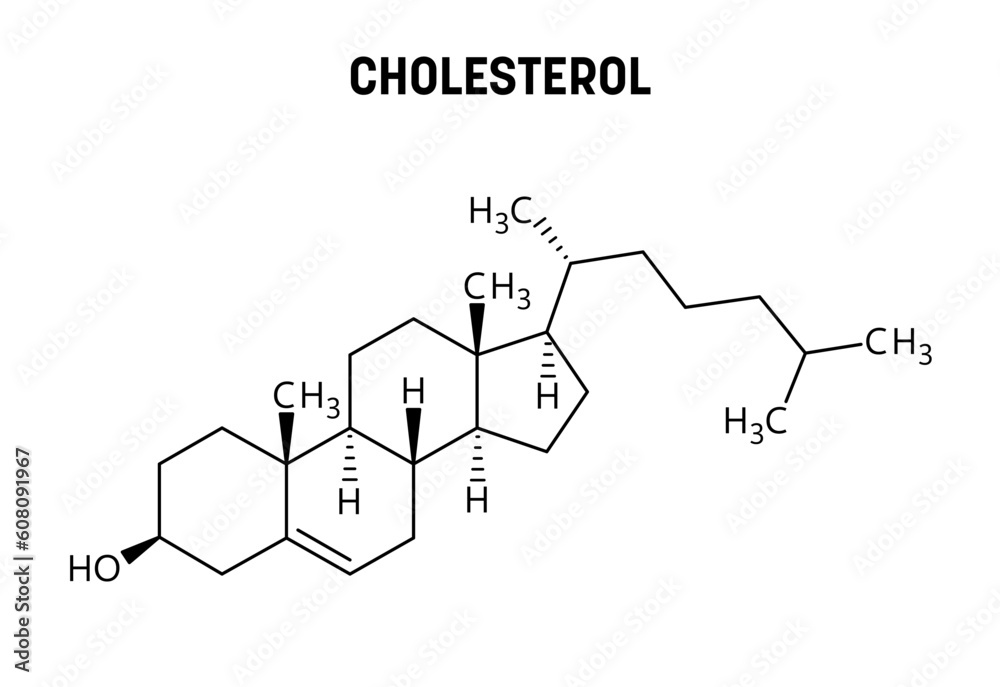 Cholesterol molecular structure. Cholesterol is a lipid and essential structural component of animal cell membranes. Vector structural formula of chemical compound. Cholesterol molecular structure. Cholesterol is a lipid and essential structural component of animal cell membranes. Vector structural formula of chemical compound.