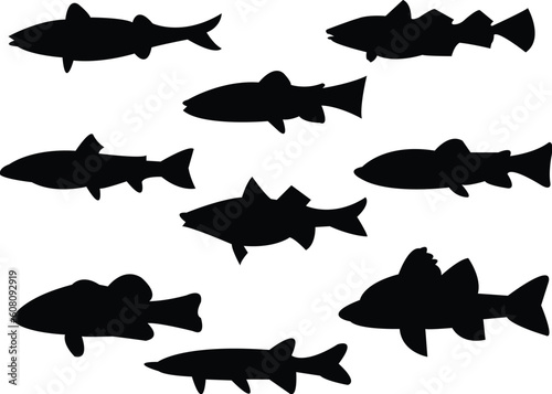 collection of fish silhouette - vector