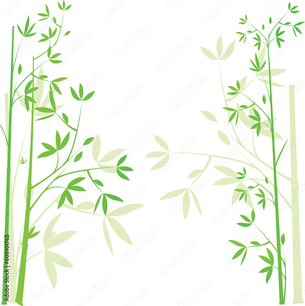 Green bamboo background isolated on white , vector illustration