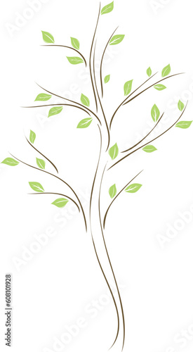 Tree with green leaves on white background