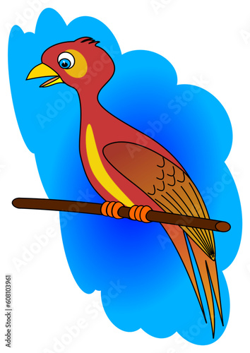 parrot bird animal nature color africa