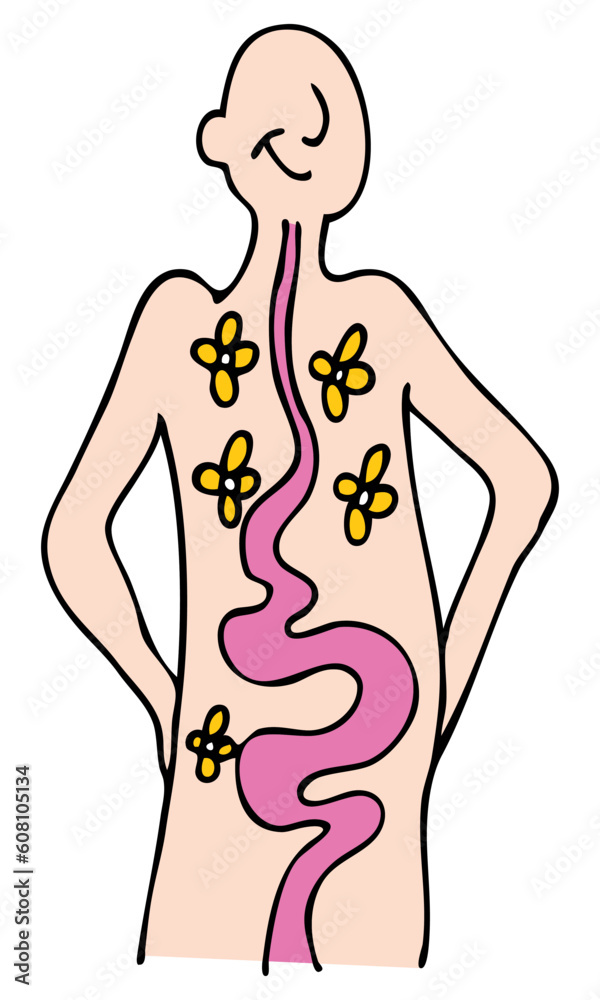 Fototapeta premium An image of a person with a healthy digestive system.