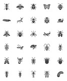 Insects animals vector icons set