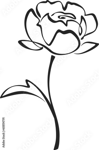 Peony flower. Black line drawing of peony isolated on a white background. Vector line art illustration