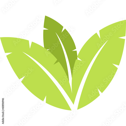 Green Leaf Vector-08