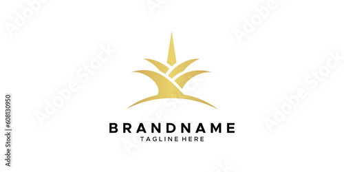 a pineapple crown themed graphic, white background. base vector graphics.