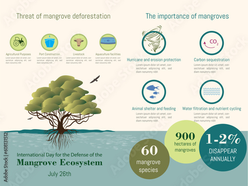 Infographic about the mangrove ecosystem, what is its threat and the importance of the mangrove, silhouette of a mangrove, with icons on a colored background.