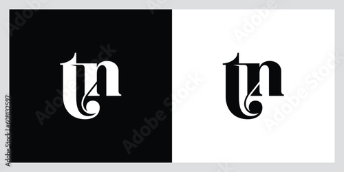 Initial TN, NT Alphabets Letters Logo Monogram