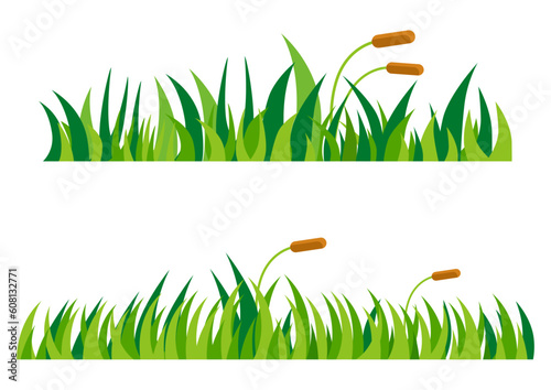 green grass vector isolated on white background