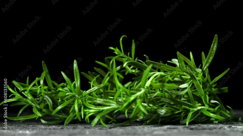 Branches of rosemary fall on the wet table. Filmed is slow motion 1000 fps. High quality FullHD footage Branches of rosemary fall on the wet table. Filmed is slow motion 1000 fps. High quality FullHD footage