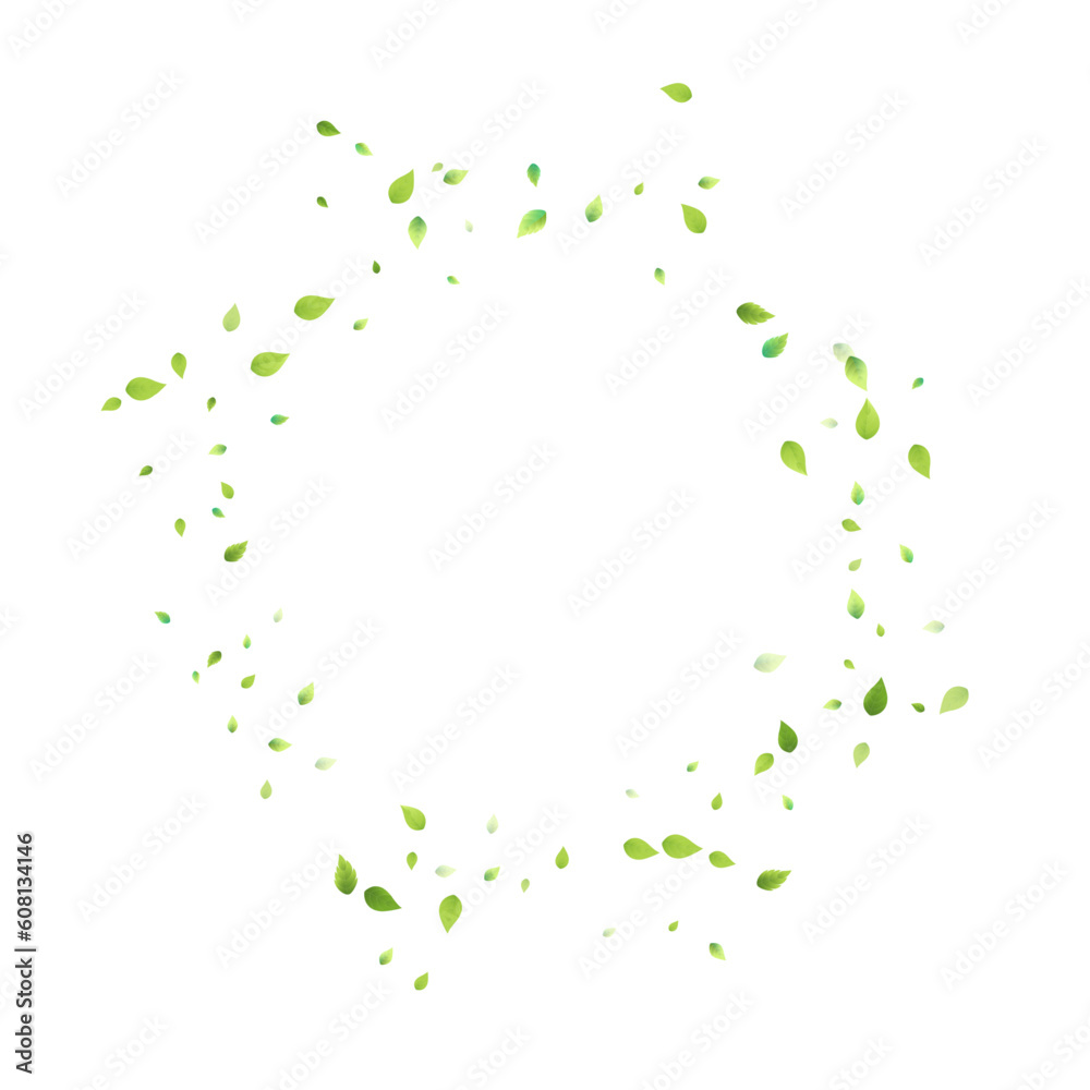 Obraz premium Leaves Green Falling Flying Foliage Leaf Tea Mint