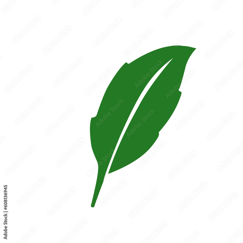 Leaves icon vector set isolated on white background. Ecology icon set