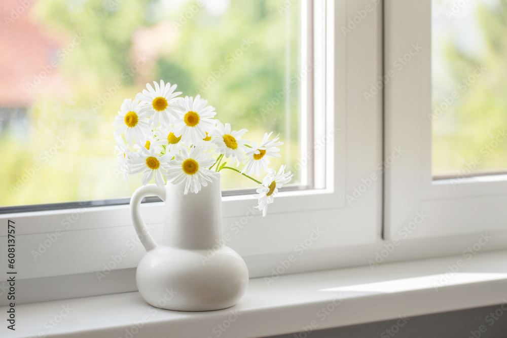 chamomile flowers in white jug on window sill chamomile flowers in white jug on window sill