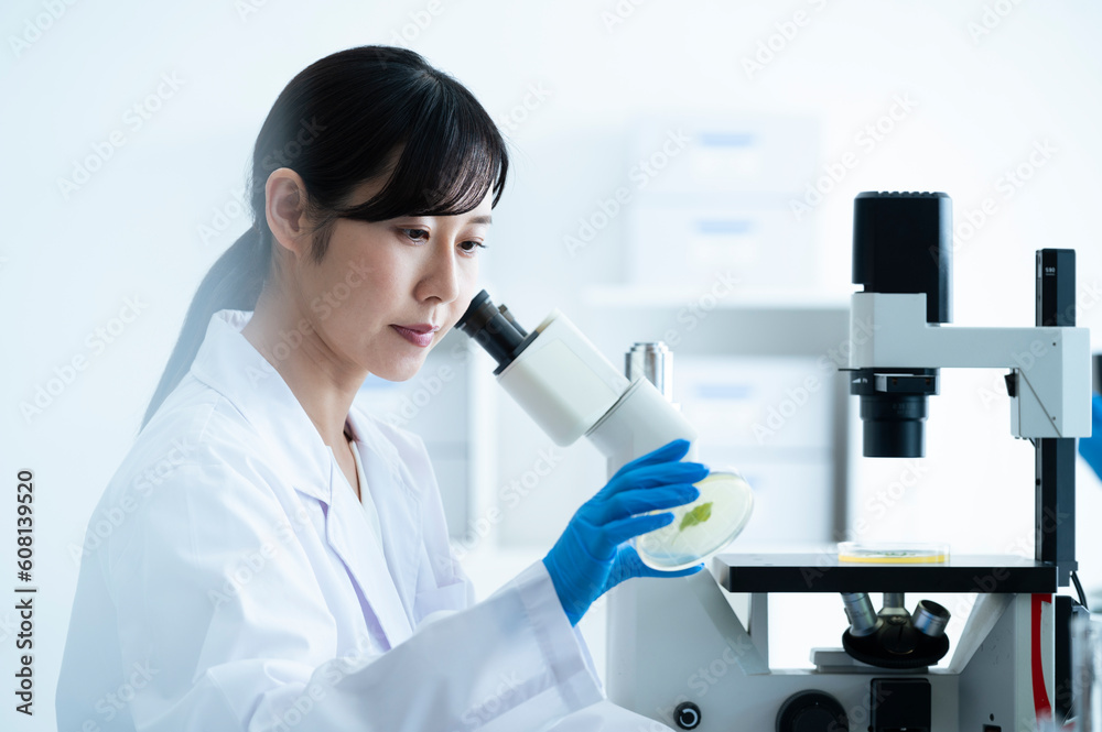 A young Asian female researcher takes her work seriously at the institute A young Asian female researcher takes her work seriously at the institute