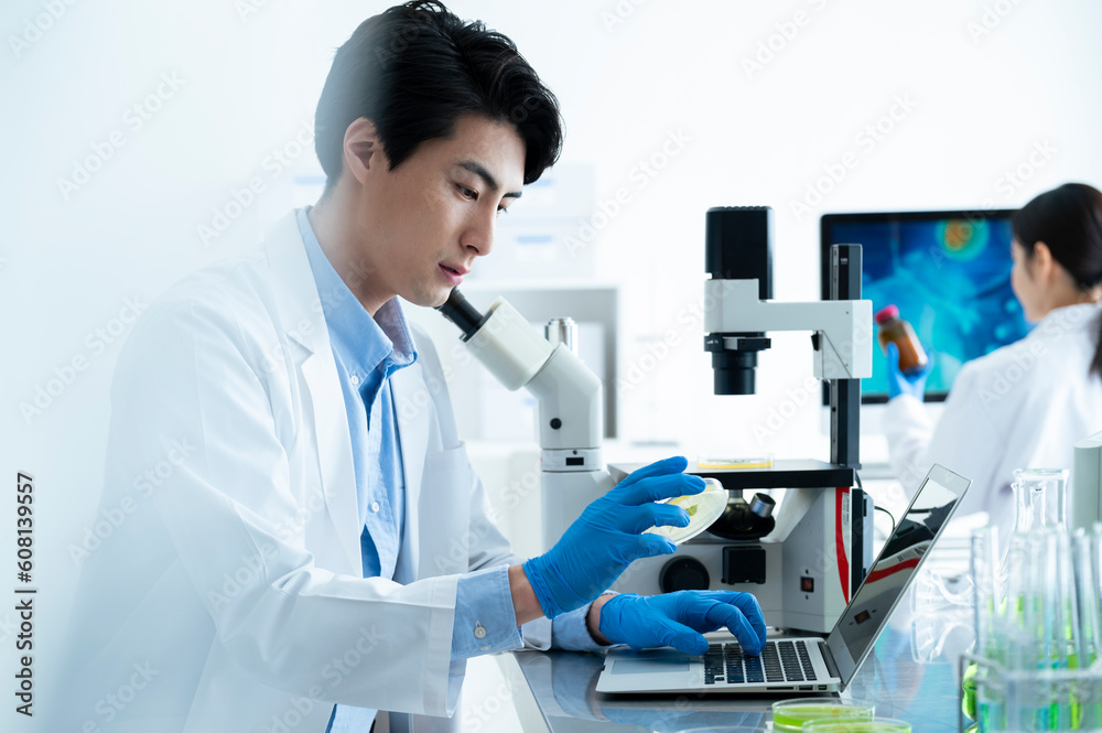 Young male Asian researchers work in a laboratory with digital gadgets. Young male Asian researchers work in a laboratory with digital gadgets.