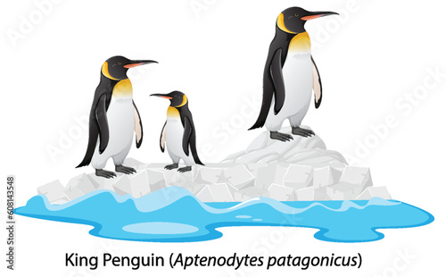 King penguin cartoon on the rock