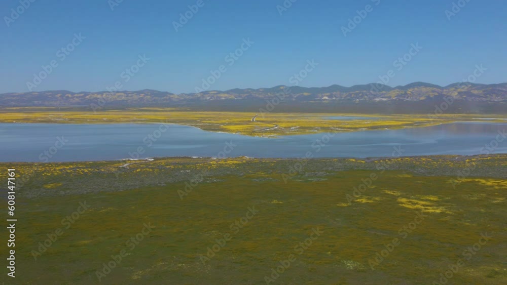 Cinematic aerial shot of Soda Lake during wildflower super bloom in Carrizo Plain in Southern California in spring of 2023 Cinematic aerial shot of Soda Lake during wildflower super bloom in Carrizo Plain in Southern California in spring of 2023