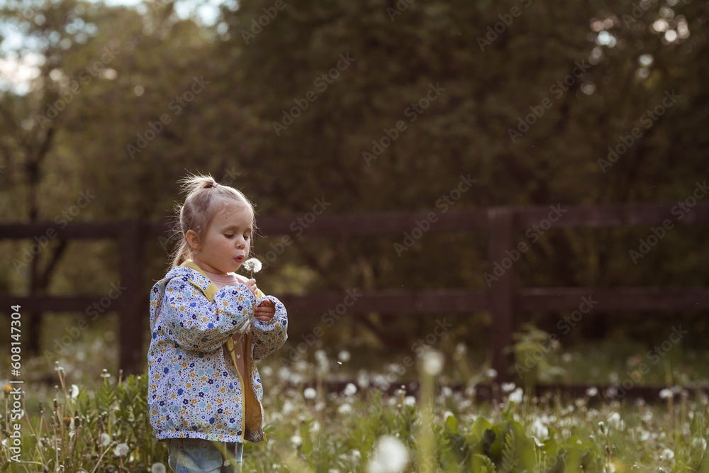 Naklejka premium Happy beautiful girl of 3 years blowing on a dandelion on a sunny summer evening. A child in the fresh air, in nature. The setting sun.