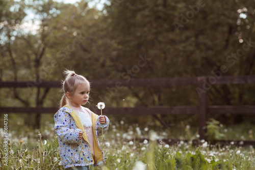 Happy beautiful girl of 3 years blowing on a dandelion on a sunny summer evening. A child in the fresh air  in nature. The setting sun.