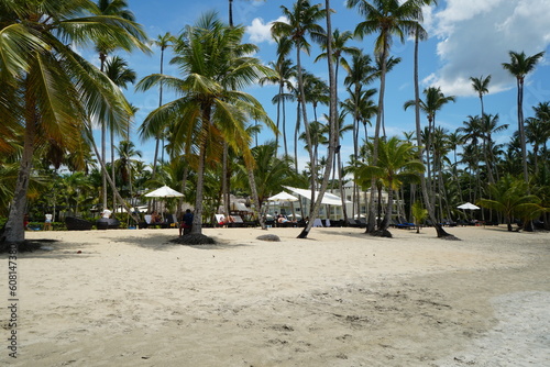 dominican republic, las terrenas, vacations, sea, travel, caribbean photo