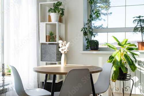 The interior of the house with large windows and home plants round table, chairs, white loft. Houseplant caring for indoor plant, green home © Ольга Симонова