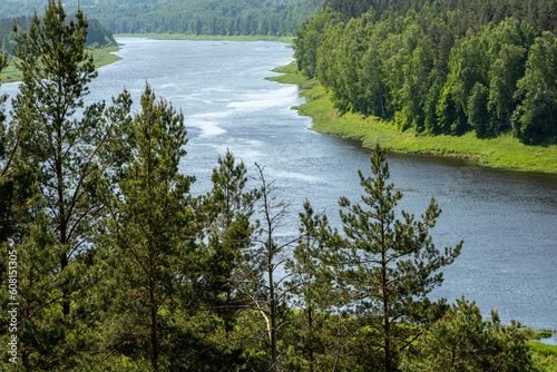 View from Vasageliski tower to river Daugava on a sunny and windy day in the end of May in Latvia photo