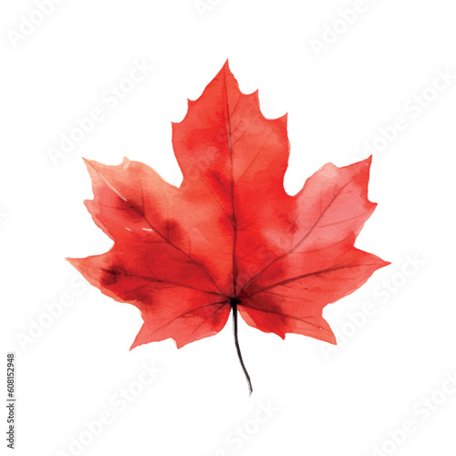 Beautiful watercolor red maple leaf Canada day white background.