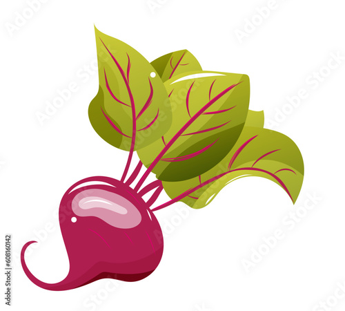 Betterave, légumes format vectoriel, fond transparent, clipart
