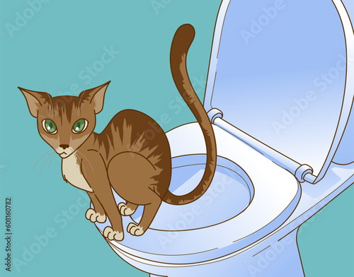 Kitty with health problems. Veterinary washes the kitty. Vet illustration. Healthcare illustration