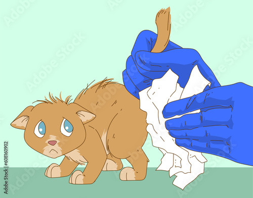 Kitty with health problems. Veterinary washes the kitty. Vet illustration. Healthcare illustration