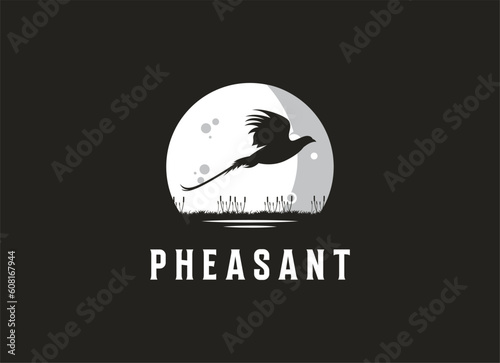 Beauty Flying Pheasant Bird. Pheasant logo design template. Pheasant hunt logo