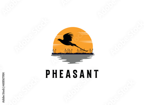 Beauty Flying Pheasant Bird. Pheasant logo design template. Pheasant hunt logo