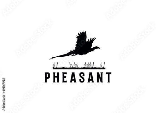 Beauty Flying Pheasant Bird. Pheasant logo design template. Pheasant hunt logo