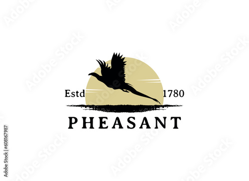 Beauty Flying Pheasant Bird. Pheasant logo design template. Pheasant hunt logo