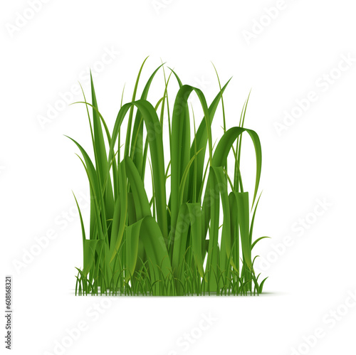 Realistic cluster of green grass, isolated 3d vector natural fresh plant blades for eco-friendly campaigns, gardening or landscaping products, or environmental awareness initiatives