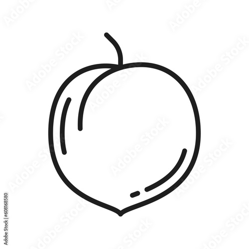 Peach whole fruit isolated plum apricot berry thin line icon. Vector plum fruit vegetarian organic food. Nectarine peach, healthy ripe tropical exotic dessert
