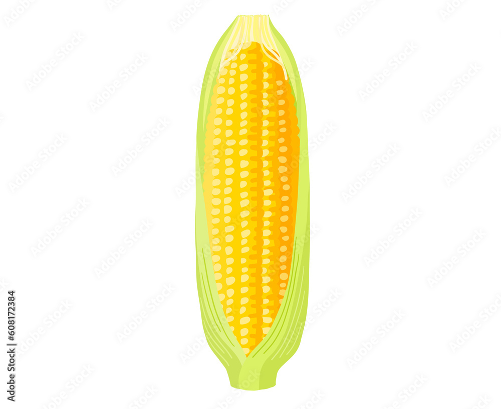 Obraz premium 新鮮な皮付きとうもろこし